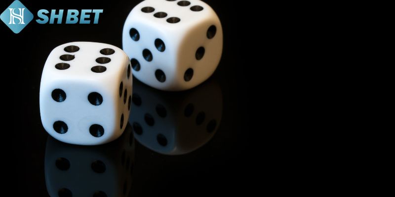 Xóc Đĩa Online - Trải Nghiệm Trò Chơi Cổ Điển Tại Shbet - Ảnh 2