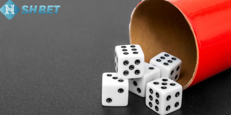 Xóc Đĩa Online - Trải Nghiệm Trò Chơi Cổ Điển Tại Shbet - Ảnh 3