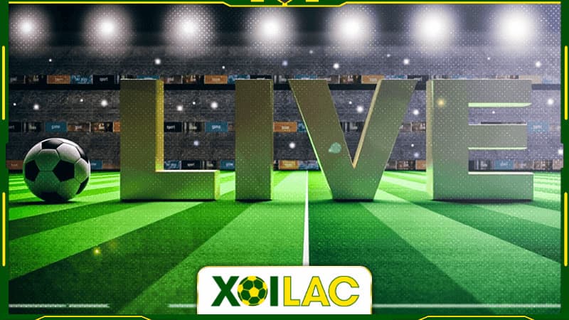 Xoilac TV live - Trang phát sóng thể thao top 1 thị trường - Ảnh 3