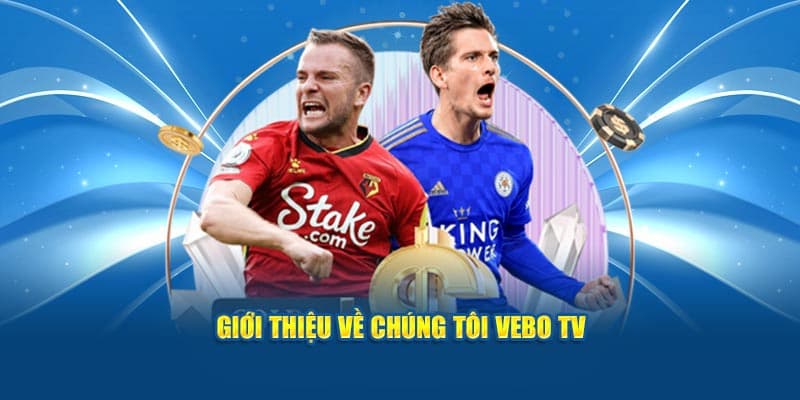 Lý do nên xem bóng đá tại Vebo TV cho người mới tìm hiểu - Ảnh 2