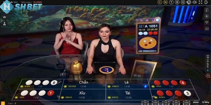 Xóc Đĩa Live - Trải Nghiệm Cá Cược Đỉnh Cao Tại Shbet - Ảnh 2