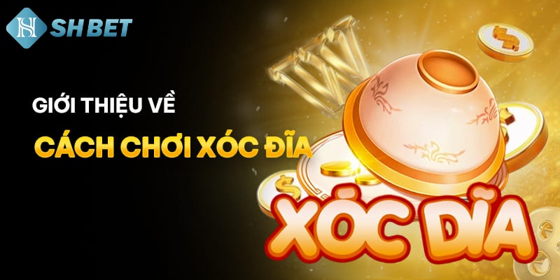 Xóc Đĩa Shbet – Trò Chơi Dân Gian Hấp Dẫn Tại Sòng Bài Online - Ảnh 3