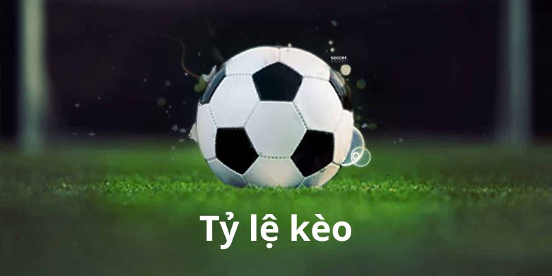 Tỷ Lệ Kèo: Hướng Dẫn Chi Tiết Từ A-Z Cho Người Mới