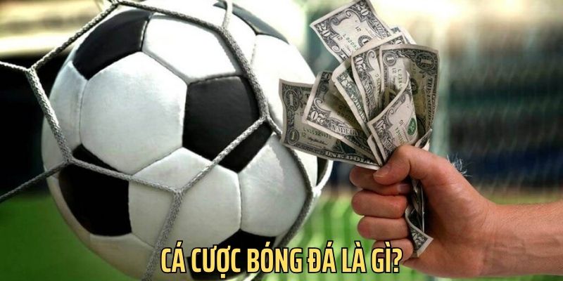 Cá Cược Bóng Đá Là Gì? Bí Kíp Đặt Cược Chuẩn Chuyên Gia  - Ảnh 1