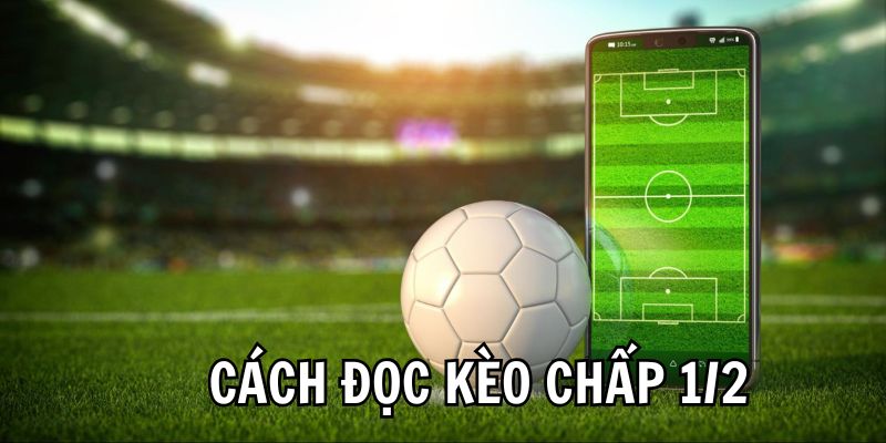 Cách Đọc Kèo Chấp 1/2 Trái Dễ Hiểu, Cực Đơn Giản Cho Newbie