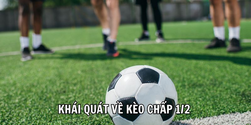 Cách Đọc Kèo Chấp 1/2 Trái Dễ Hiểu, Cực Đơn Giản Cho Newbie - Ảnh 2