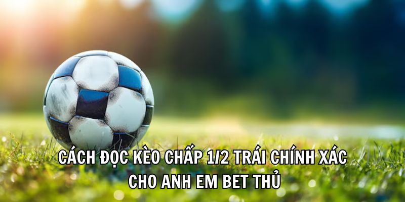 Cách Đọc Kèo Chấp 1/2 Trái Dễ Hiểu, Cực Đơn Giản Cho Newbie - Ảnh 3