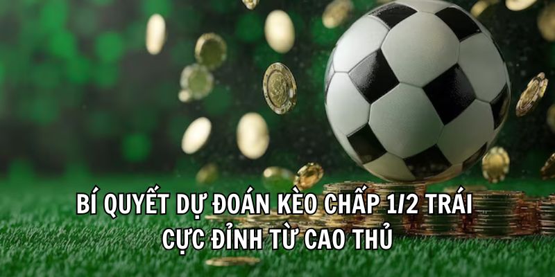 Cách Đọc Kèo Chấp 1/2 Trái Dễ Hiểu, Cực Đơn Giản Cho Newbie - Ảnh 4