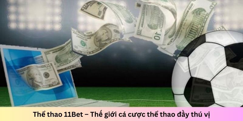 Thể thao 11Bet – Thế giới cá cược thể thao đầy thú vị - Ảnh 1