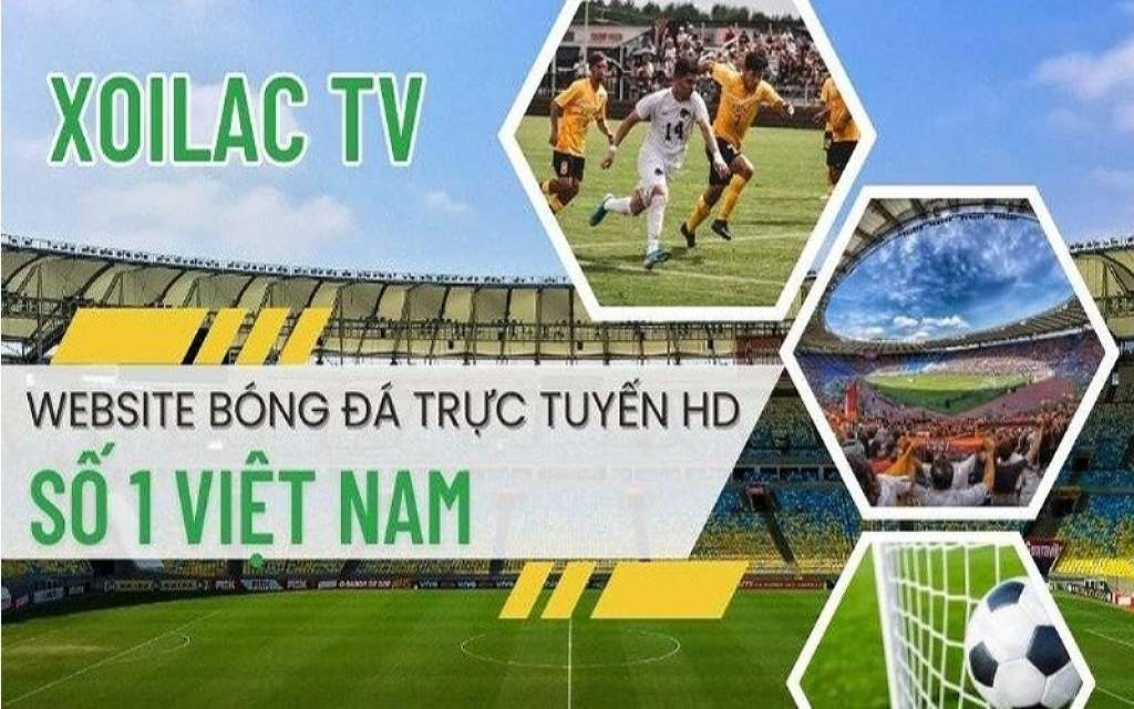 Xem trực tiếp bóng đá đỉnh cao tại Xoilac TV - Ảnh 1
