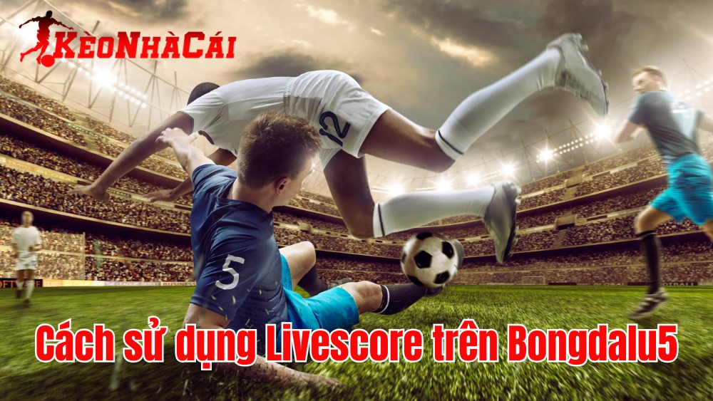 Chinh phục kèo cược nhờ Livescore thời gian thực từ Bongdalu5 - Ảnh 2
