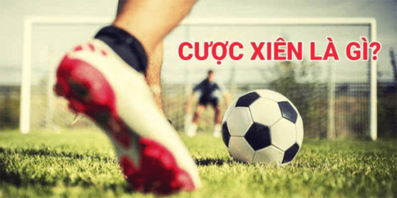 Kèo Xiên Là Gì? Cách Chơi Và Kinh Nghiệm Bắt Kèo Hiệu Quả - Ảnh 1