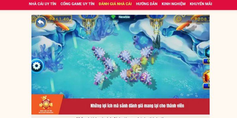 Top nhà cái uy tín và những điều cần biết khi lựa chọn