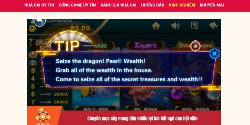 Top nhà cái uy tín và những điều cần biết khi lựa chọn - Ảnh 4