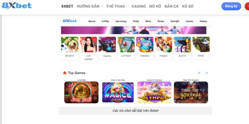 8xbet - Điểm Đến Giải Trí Trực Tuyến Hàng Đầu 2025 - Ảnh 3