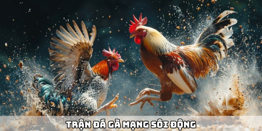 Cách Đá Gà Mạng Luôn Thắng Hiệu Quả Tại Bk8 - Ảnh 2