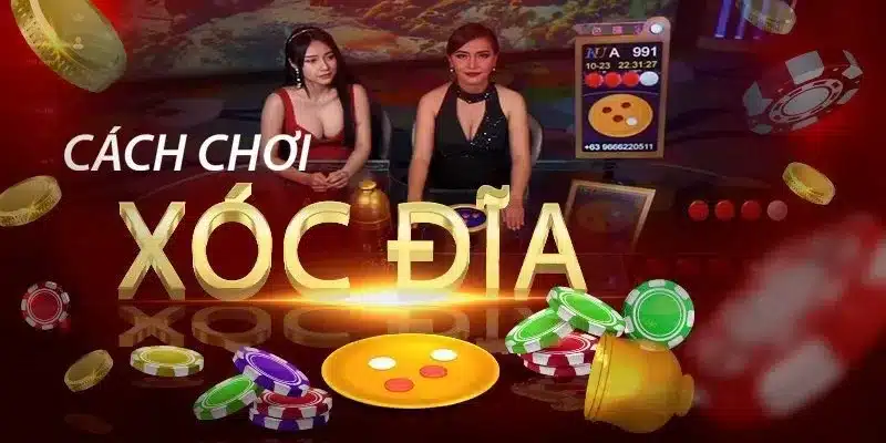 xóc đĩa bk8 - Ảnh 3