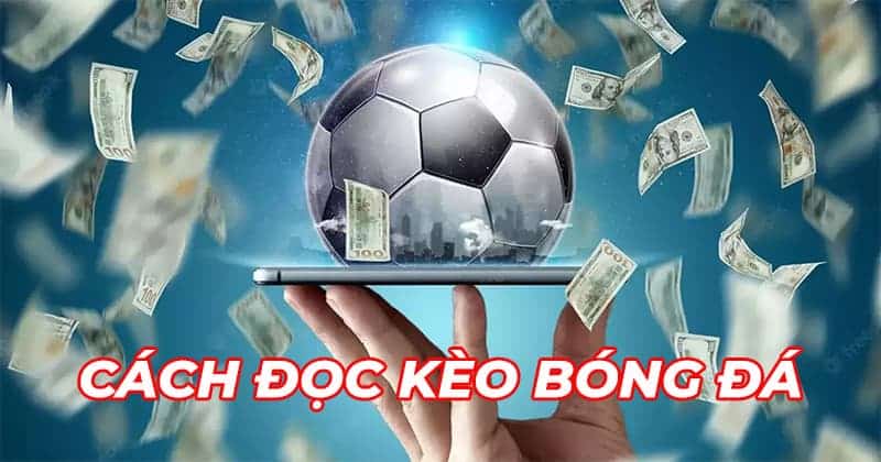 Cách soi kèo bóng đá đơn giản mà hiệu quả – 11bet hướng dẫn chi tiết - Ảnh 3