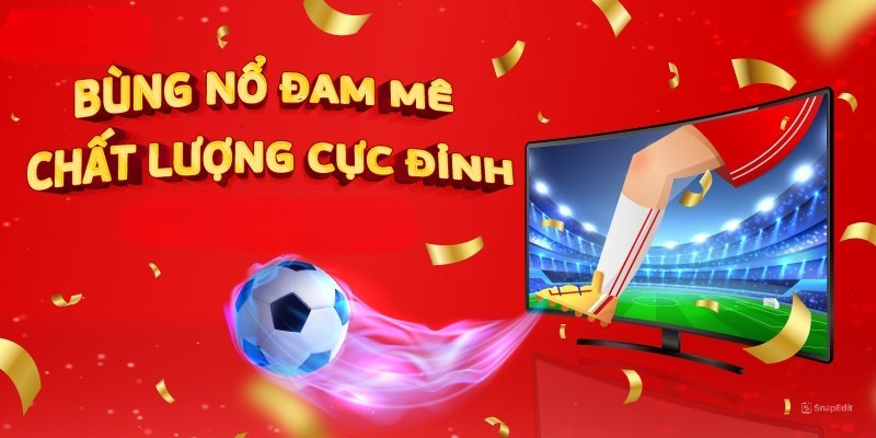 Hướng dẫn tra cứu lịch thi đấu bóng đá trên GavangTV - Ảnh 2