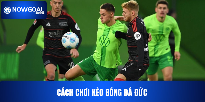 Kèo Bóng Đá Đức NOWGOAL - Khám Phá Sức Hút Của Từ Bundesliga - Ảnh 2