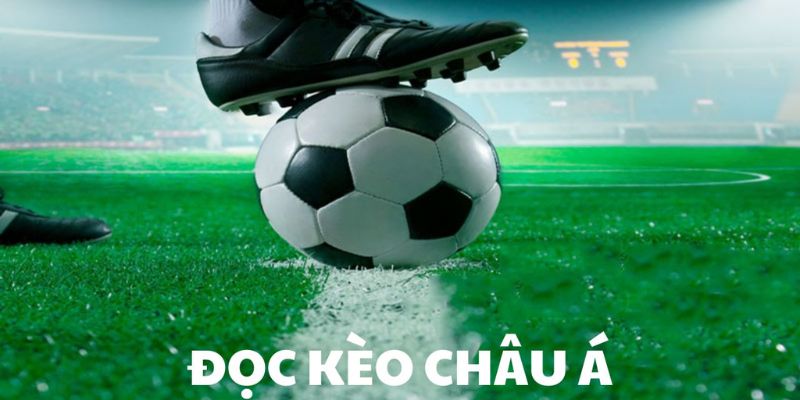 Hướng Dẫn Đọc Kèo Châu Á Và Yếu Tố Ảnh Hưởng Đến Tỷ Lệ Kèo - Ảnh 1