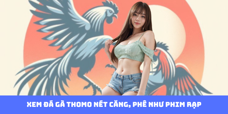 Cá Cược Đá Gà - Đấu Trường Của Những Tay Chơi Lịch Lãm - Ảnh 2