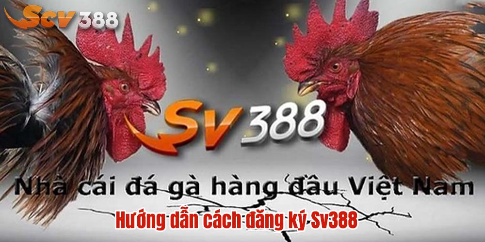 Đăng ký SV388 - Ảnh 4