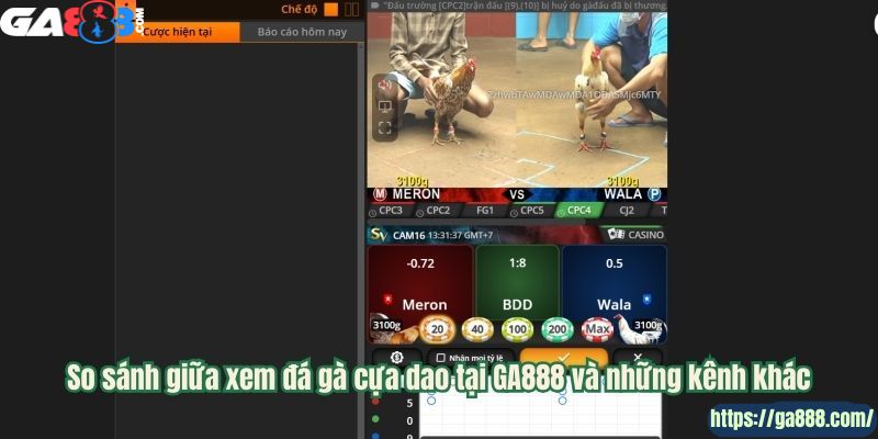 GA888 – Sân Chơi Đá Gà Cựa Dao Uy Tín, Chất Lượng Hàng Đầu - Ảnh 3