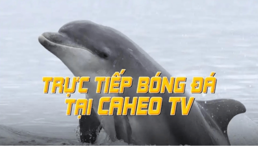 Nhận Định Bóng Đá Caheo TV – Phân Tích Kèo Chuẩn, Dự Đoán Sát Thực Tế - Ảnh 2