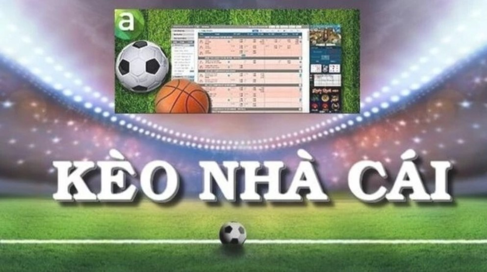 Kèo Nhà Cái Trực Tiếp Hôm Nay - Tỷ Lệ Chính Xác Tại Bongdawap - Ảnh 1