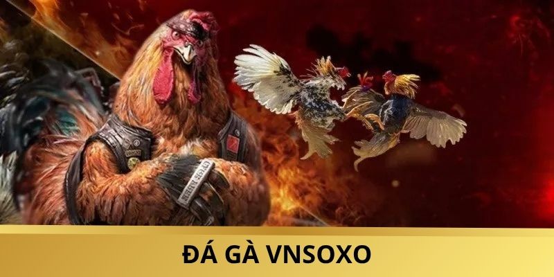 Kinh Nghiệm Chơi Đá Gà Vnsoxo Cựa Dao:  Thắng Lớn Cực Dễ