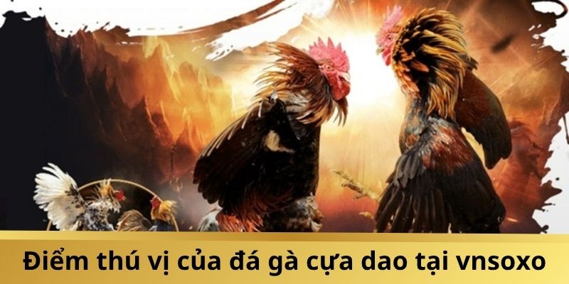 Kinh Nghiệm Chơi Đá Gà Vnsoxo Cựa Dao:  Thắng Lớn Cực Dễ - Ảnh 2