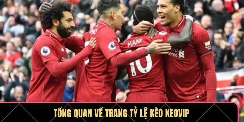 KEOVIP – Chuyên Trang Tỷ Lệ Kèo Bóng Đá Chuẩn Xác Hàng Đầu - Ảnh 1