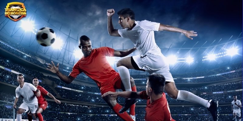 Bí Quyết Thành Công Khi Cá Độ Bóng Đá Cho Người Mới Bắt Đầu - Ảnh 1