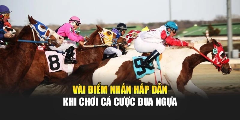 Cược Đua Ngựa 89bet Cực Kỳ “Mượt”, Chiến Mã Nào Cũng Ra Tiền - Ảnh 3