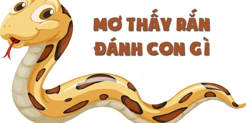 Mơ thấy rắn đánh con gì để tăng cơ hội thu tiền lời lớn? - Ảnh 1