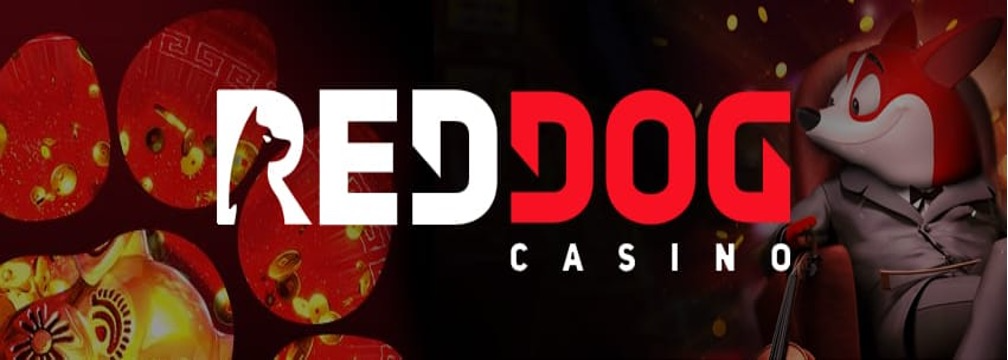 Red Dog SV88 – Trải Nghiệm Trò Chơi Bài 3D Mới Lạ Và Đầy Thách Thức - Ảnh 3
