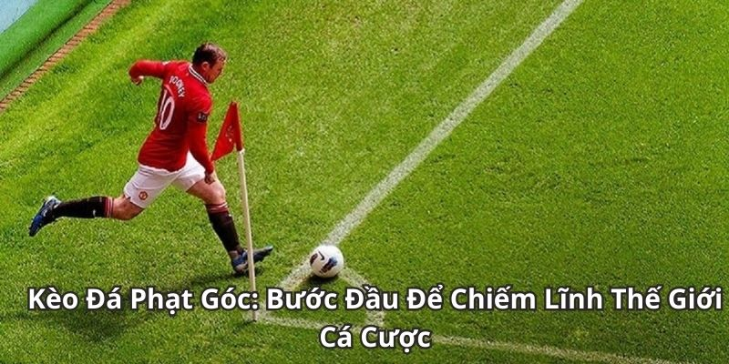 kèo phạt góc m88 - Ảnh 1