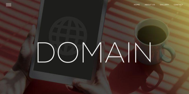 Ông Won Ka nói gì về hệ thống đa domain của Won88?