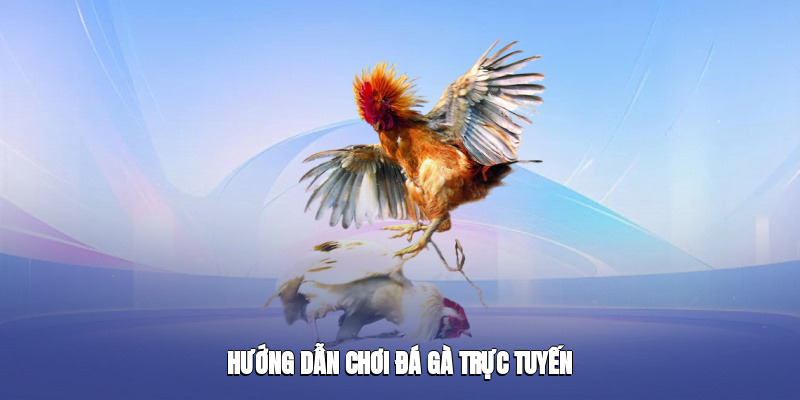 Đá Gà Fb88 – Trải Nghiệm Giải Trí Hấp Dẫn Và Đầy Kịch Tính - Ảnh 2