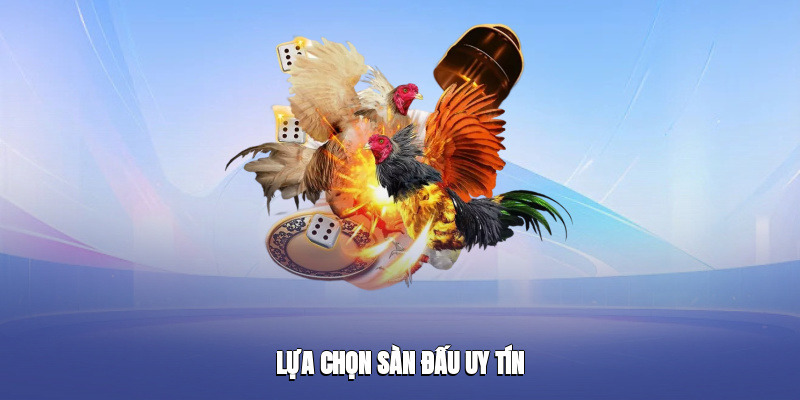 Đá Gà Fb88 – Trải Nghiệm Giải Trí Hấp Dẫn Và Đầy Kịch Tính - Ảnh 3