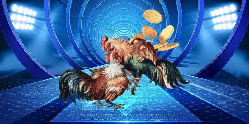 Kinh Nghiệm Cá Cược Đá Gà C1 – Bí Quyết Tăng Tỷ Lệ Thắng Cho Người Chơi