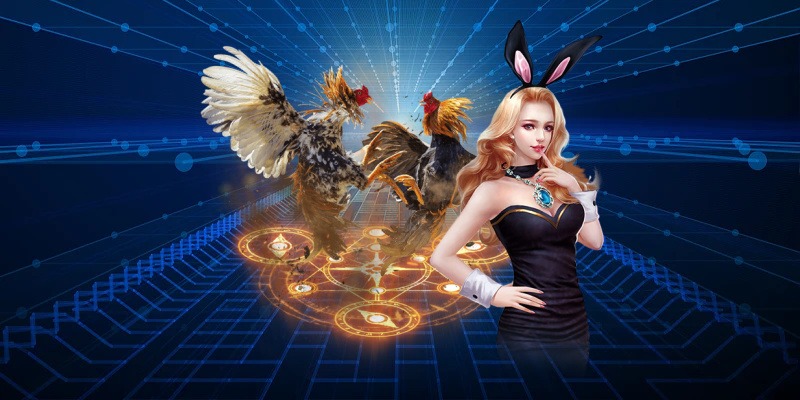 Kinh Nghiệm Cá Cược Đá Gà C1 – Bí Quyết Tăng Tỷ Lệ Thắng Cho Người Chơi - Ảnh 2