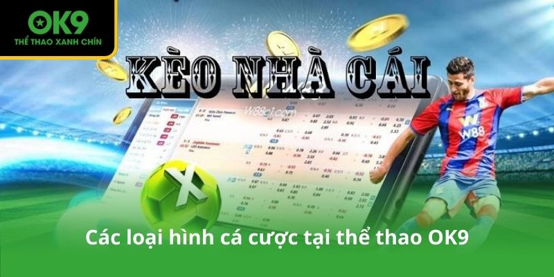 Thể Thao OK9 - Nơi Hội Tụ Đam Mê Thể Thao Đỉnh Cao - Ảnh 2