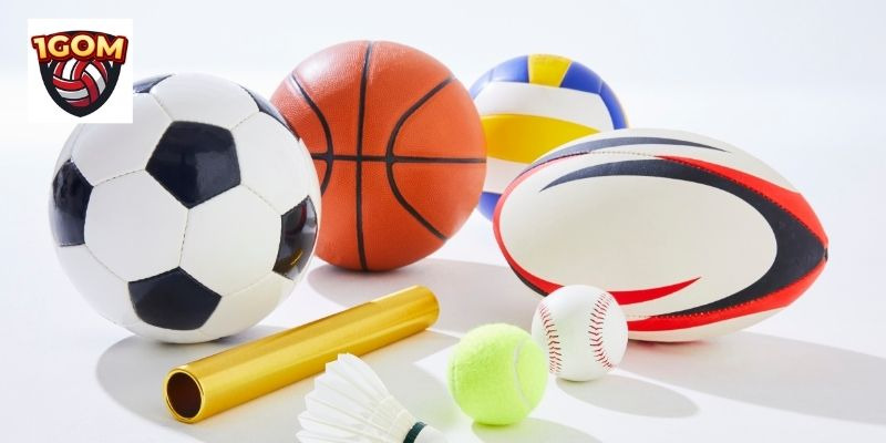 1gom – Website Cá Cược Thể Thao Đơn Giản Dễ Thao Tác - Ảnh 3