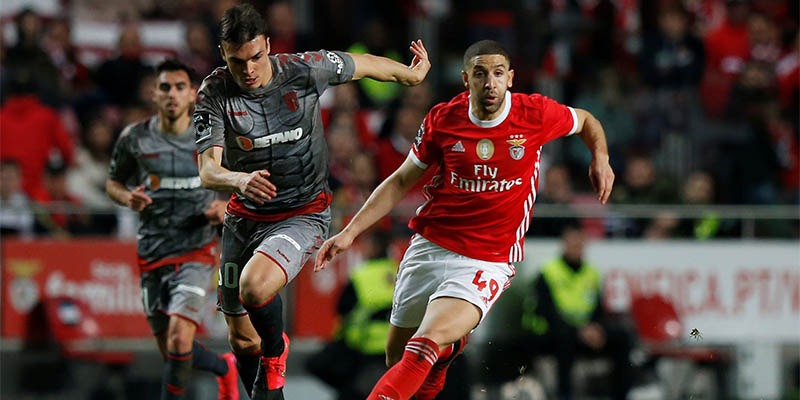 6 Mẹo Gấp Thếp B&oacute;ng Cỏ Cơm Gạo Hiệu Quả Nhất Năm Nay - Ảnh 2