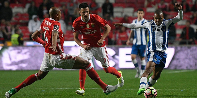 6 Mẹo Gấp Thếp B&oacute;ng Cỏ Cơm Gạo Hiệu Quả Nhất Năm Nay - Ảnh 3