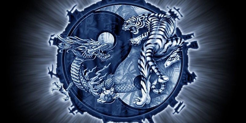 Mẹo Soi Cầu Rồng Hổ: B&iacute; K&iacute;p Bắt Cầu Chuẩn X&aacute;c Tại Sodo66 - Ảnh 3