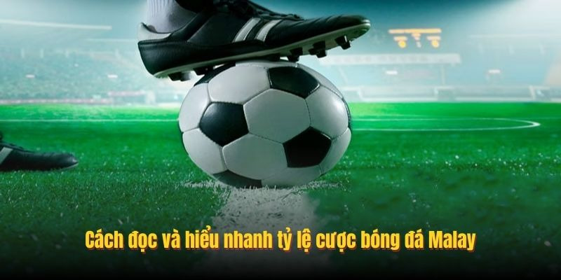 Tỷ Lệ Cược Malay Trong C&aacute; Cược Thể Thao Tại Nh&agrave; C&aacute;i FB88 - Ảnh 2