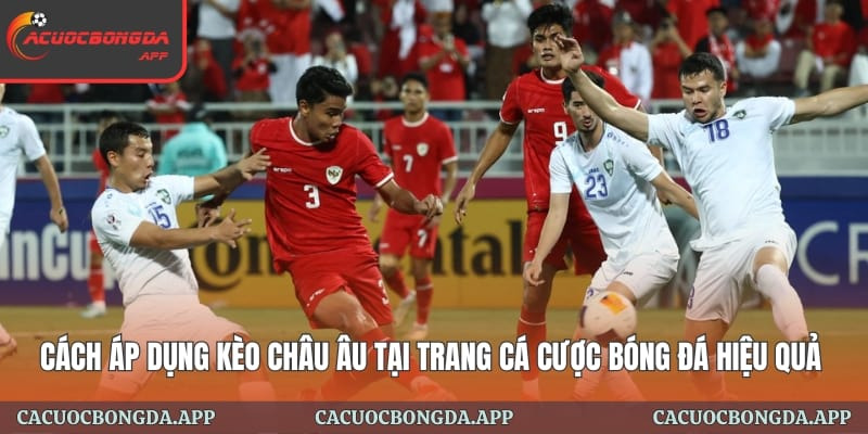 Cách Áp Dụng Kèo Châu Âu Tại Trang Cá Cược Bóng Đá Hiệu Quả